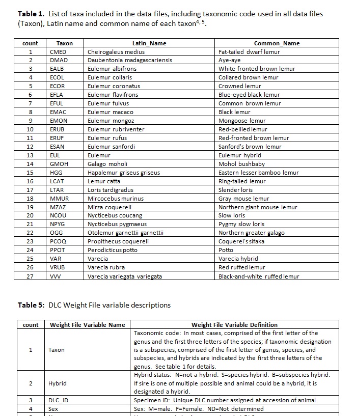 Ab 2025 initio dictionary